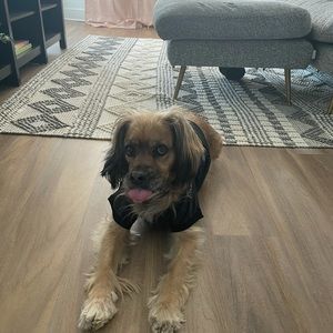 Meet your Posher, Shellie